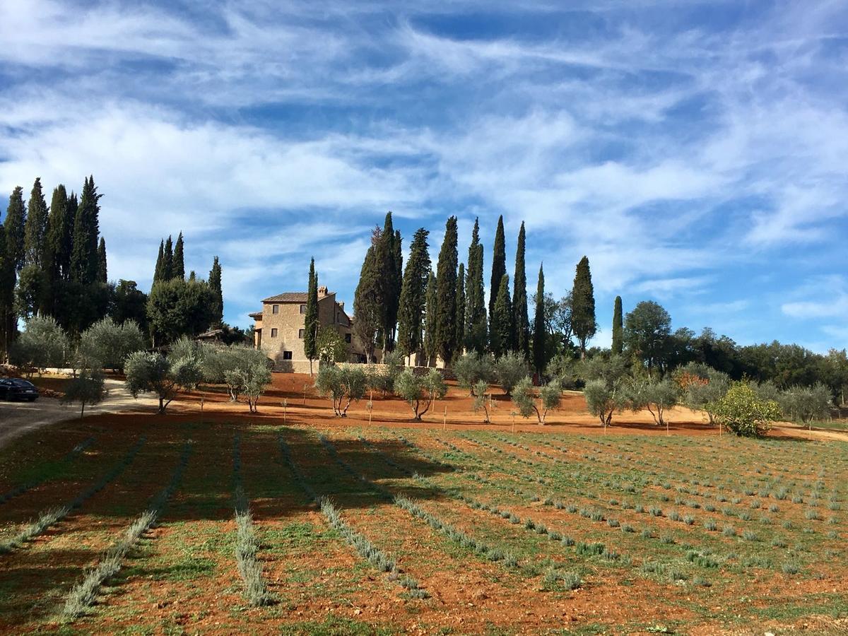 La Tenuta Di Castelvecchio San Gimignano Luaran gambar