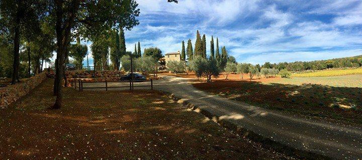 La Tenuta Di Castelvecchio San Gimignano Luaran gambar